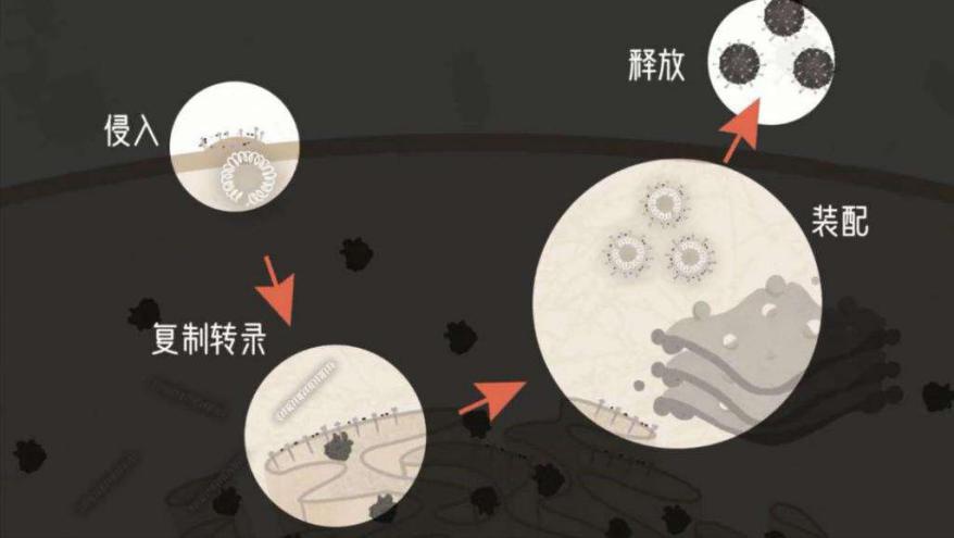 圖片5.jpg